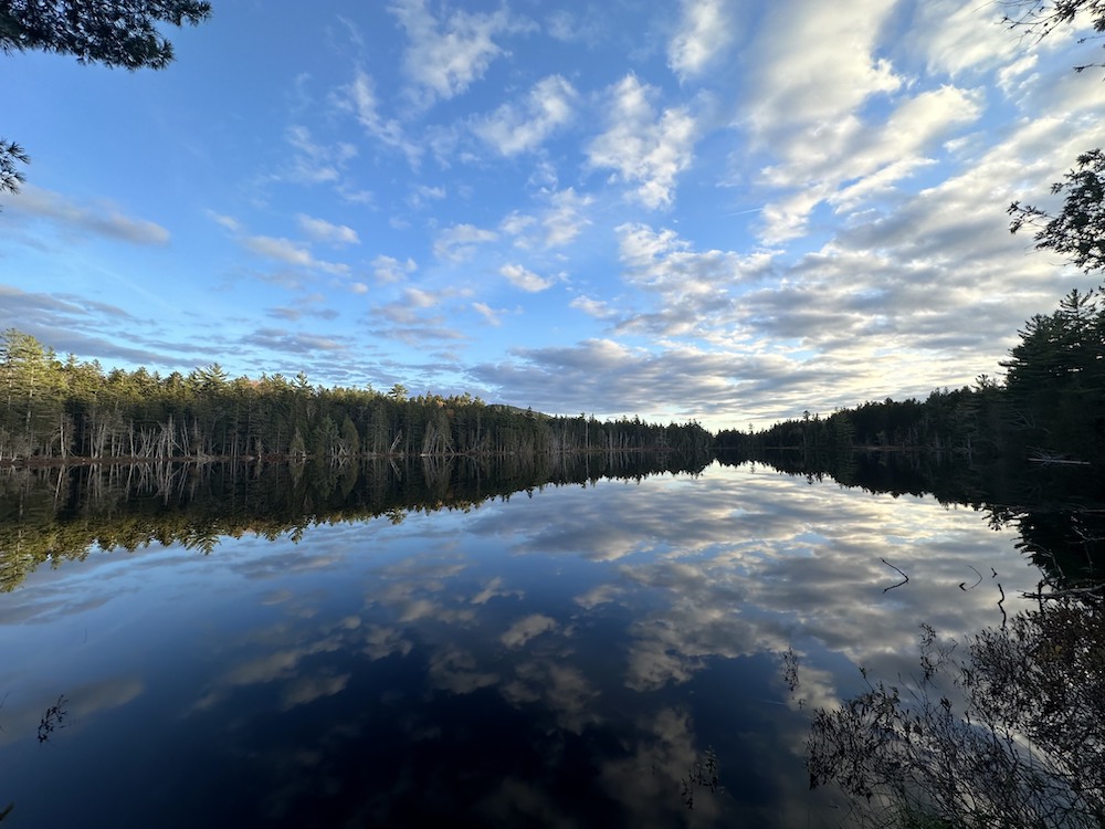 Trust for Public Land initiates historic land return, aims to restore 31,000 acres to Penobscot Nation in Maine