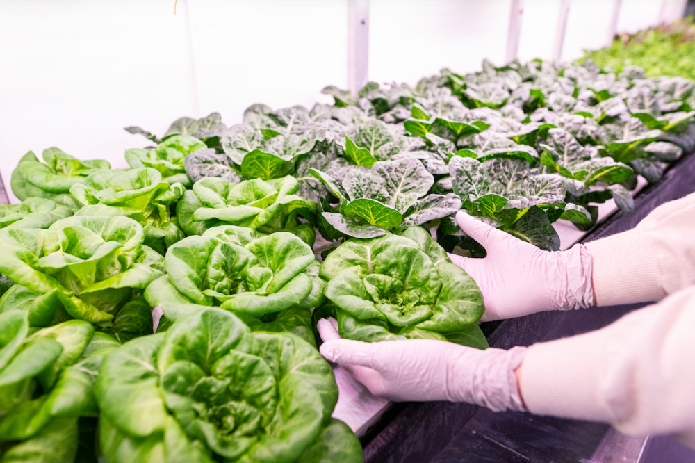 header image for articles NNO 2000 by 1331 px 7