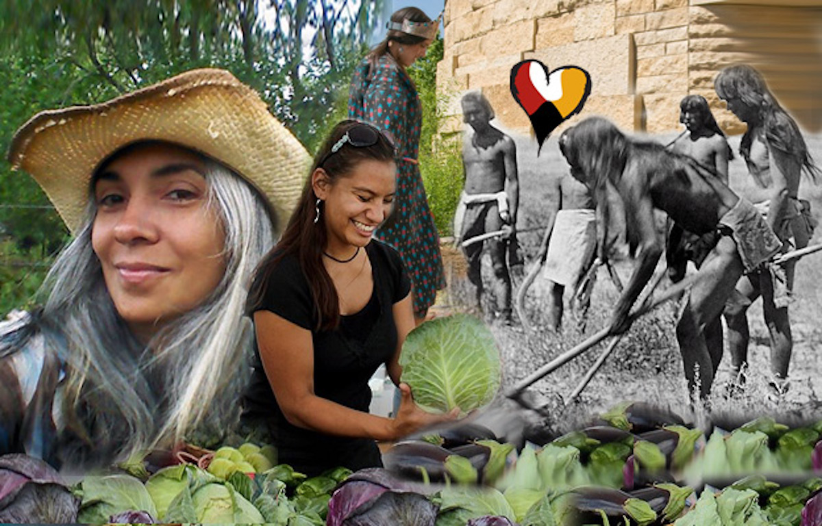 Native American farmers