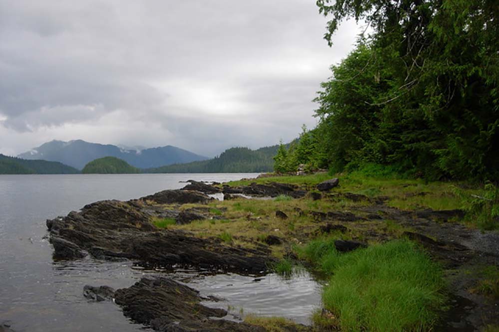 Tongass