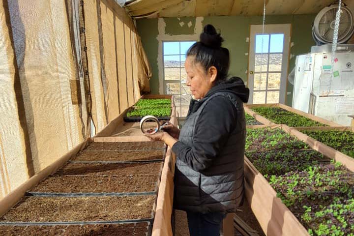 coffee pot farms Cherilyn