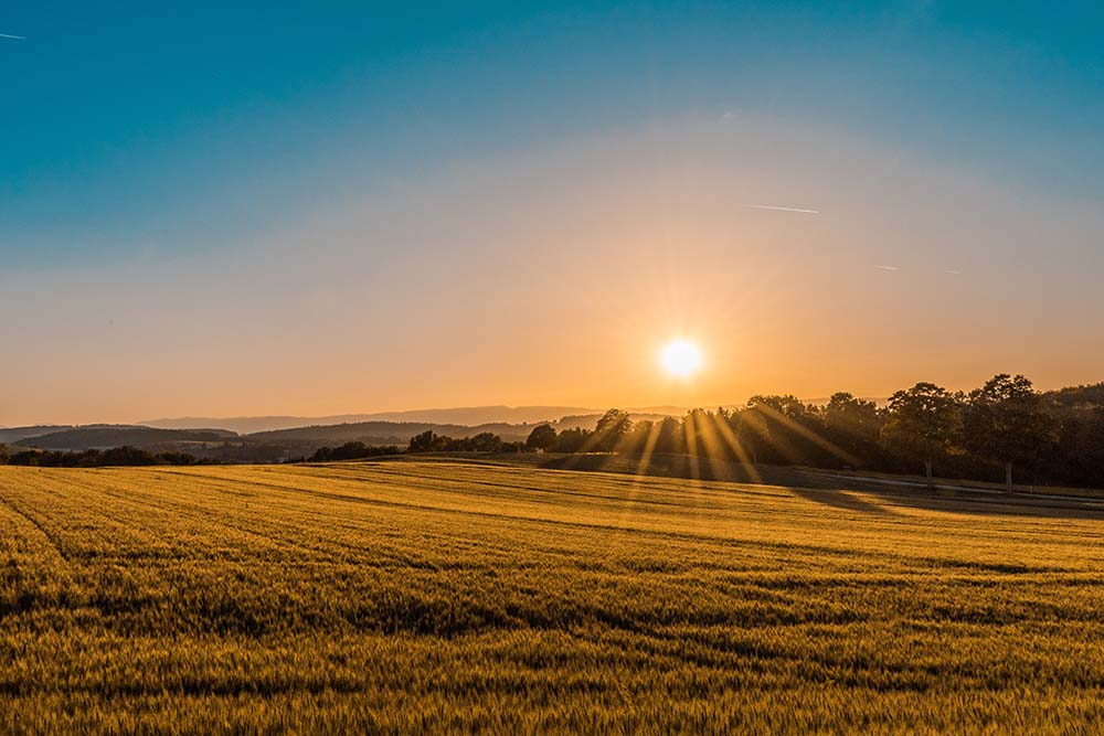 farm land